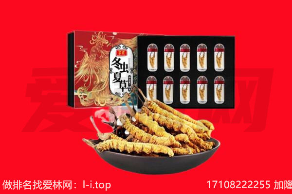杭州市萧山回收虫草.jpg